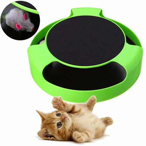 Cat Play Toy