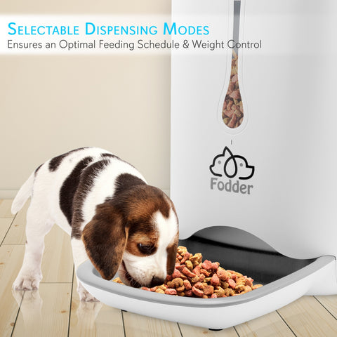 Smart Automatic Pet Food Dispenser